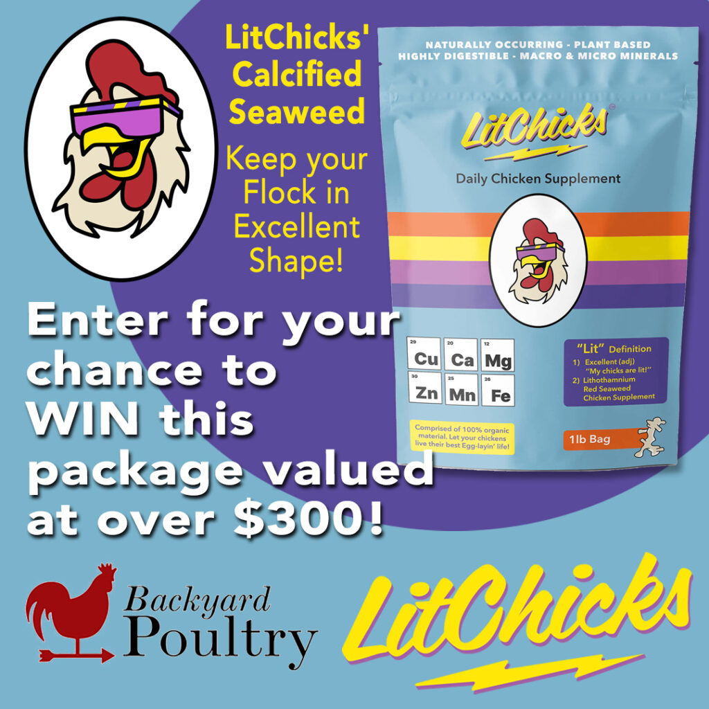 Enter for your chance to win!